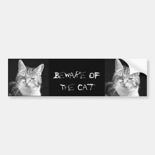 猫 バンパーステッカー