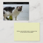 (猫)ビジネスかテレホンカード守って下さい コーリングカード (正面/裏面)