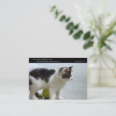 (猫)ビジネスかテレホンカード守って下さい コーリングカード (スタンド正面)