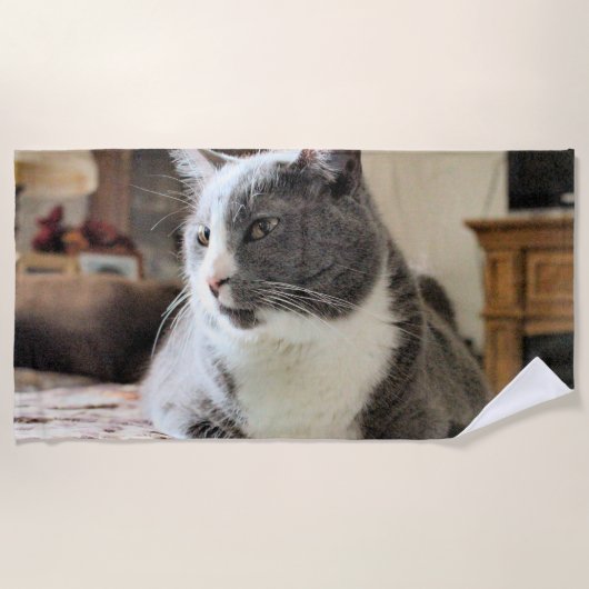 猫 ビーチタオル (正面)
