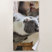 猫 ビーチタオル (正面)