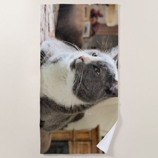 猫 ビーチタオル (正面)