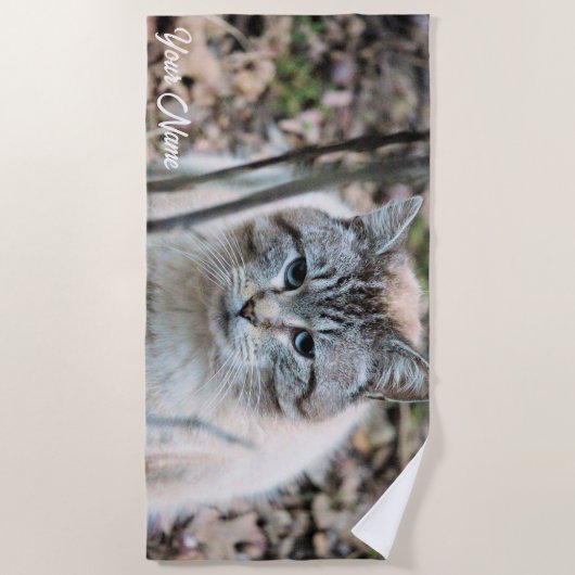 猫 ビーチタオル (正面)