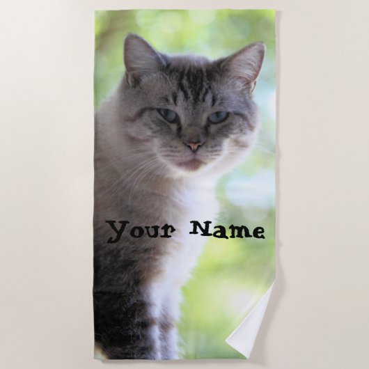 猫 ビーチタオル (正面)