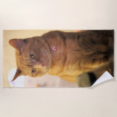 猫 ビーチタオル (正面)