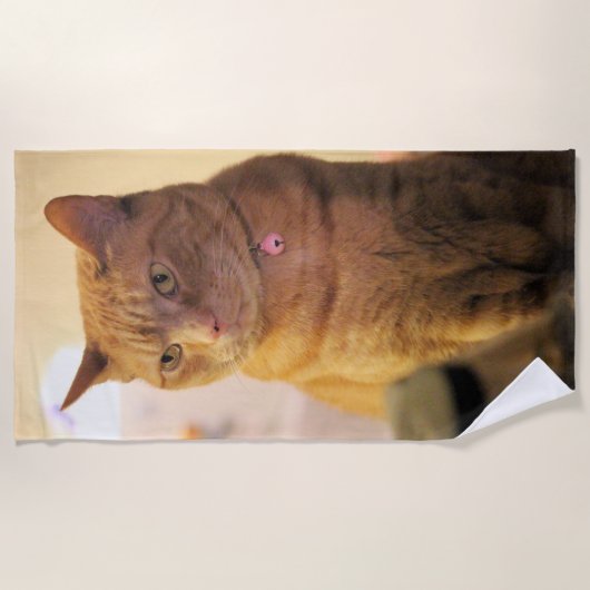 猫 ビーチタオル (正面)