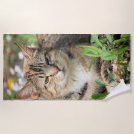 猫 ビーチタオル
