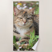 猫 ビーチタオル (正面)