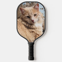 猫 ピックルボールラケット