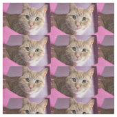 猫 ファブリック (見本)
