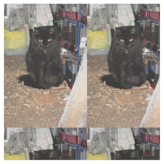 猫 ファブリック (クローズアップ)