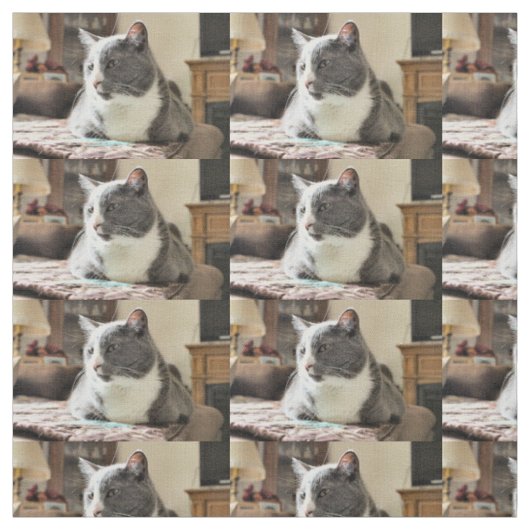 猫 ファブリック (見本)
