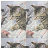 猫 ファブリック (クローズアップ)