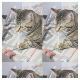 猫 ファブリック