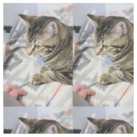 猫 ファブリック (クローズアップ)