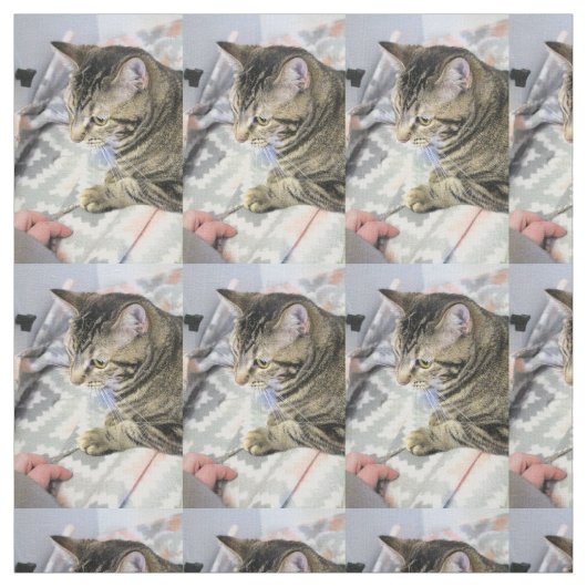 猫 ファブリック (見本)