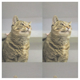 猫 ファブリック