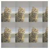 猫 ファブリック (見本)