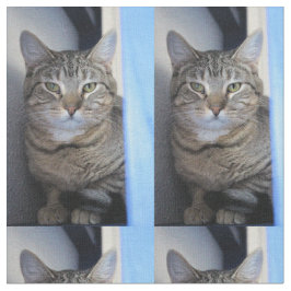猫 ファブリック
