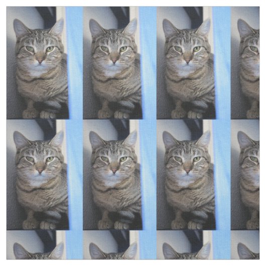 猫 ファブリック (見本)