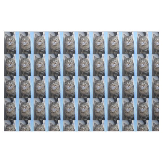 猫 ファブリック (ファットクウォーター)
