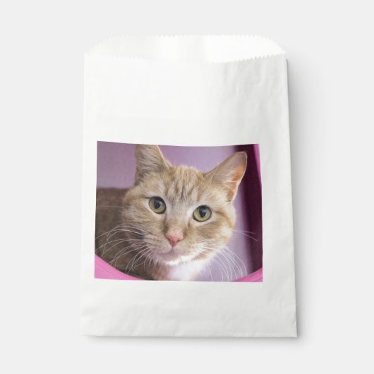 猫 フェイバーバッグ (正面)