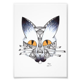 猫 フォトプリント           