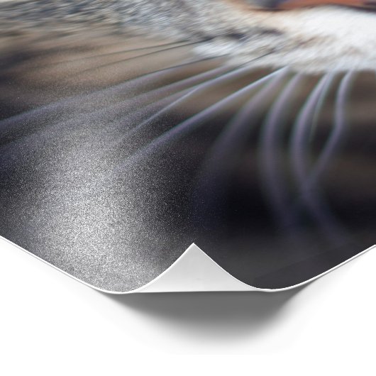 猫 フォトプリント            (角)