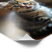 猫 フォトプリント            (角)