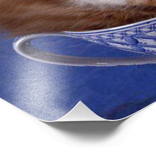 猫 フォトプリント            (角)