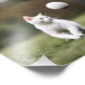 猫 フォトプリント            (角)