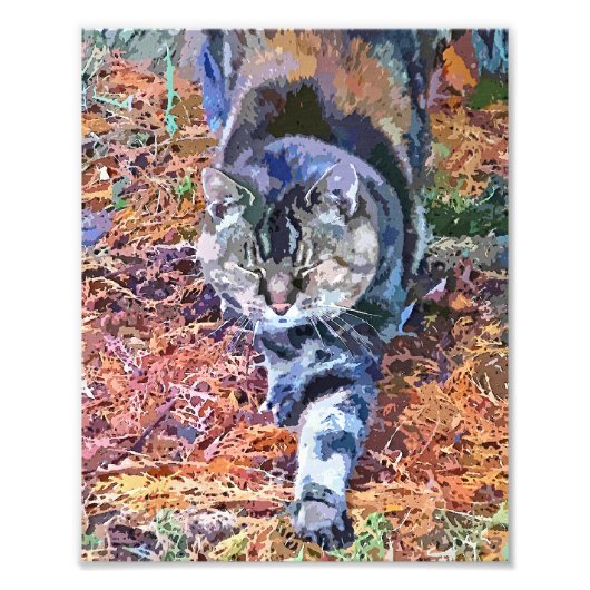 猫 フォトプリント            (正面)