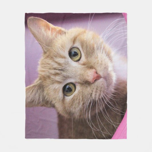 猫 フリースブランケット (正面)