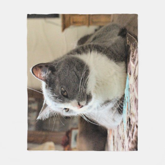 猫 フリースブランケット (正面)