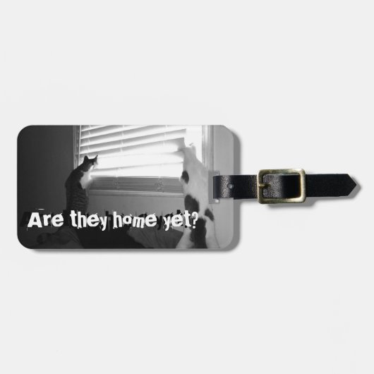 猫-ブラインドのバッグのラベルを見るAbbie及びMo ラゲッジタグ (正面横)