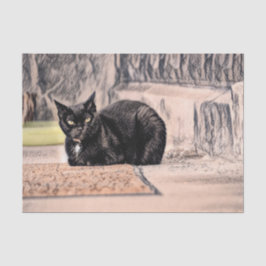 猫 ブラック かわいい ビンテージ アンティーク スケッチ アート 薄葉紙