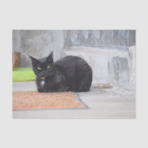 猫 ブラック かわいい ビンテージ アンティーク デジタル ペイント アート