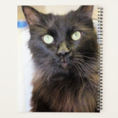 猫 プランナー手帳 (裏面)