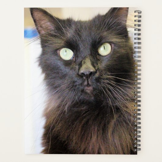 猫 プランナー手帳 (裏面)