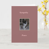 猫、ペット悔やみや弔慰、平和 カード (黄色い花)