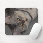 猫、ペット。 マウスパッド (マウス)