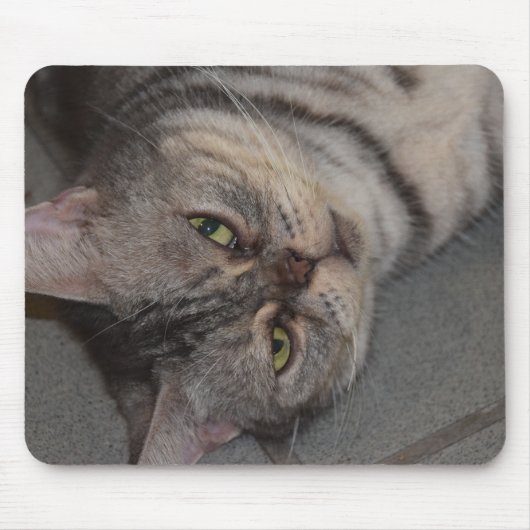 猫、ペット。 マウスパッド (正面)