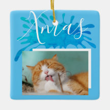 猫 ペット 青 クリスマス スクリプト クリスマス 写真