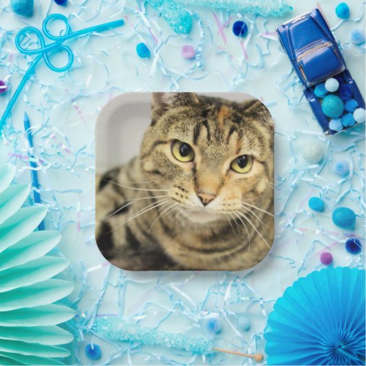 猫 ペーパープレート (パーティー)