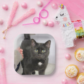 猫 ペーパープレート (パーティー)