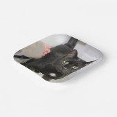 猫 ペーパープレート (傾斜あり)