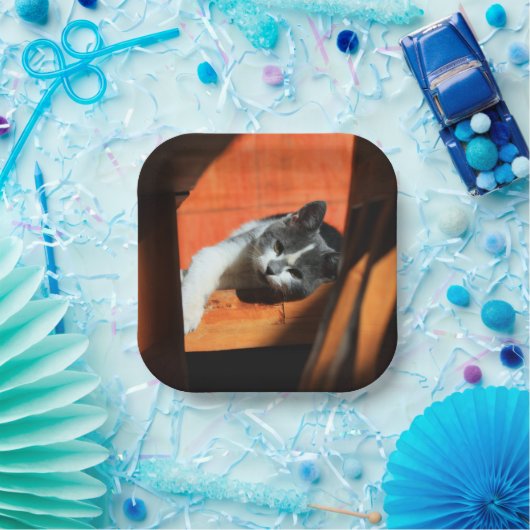 猫 ペーパープレート (パーティー)