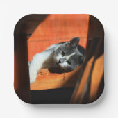 猫 ペーパープレート (正面)