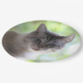 猫 ペーパープレート (アングル)