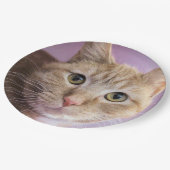 猫 ペーパープレート (アングル)